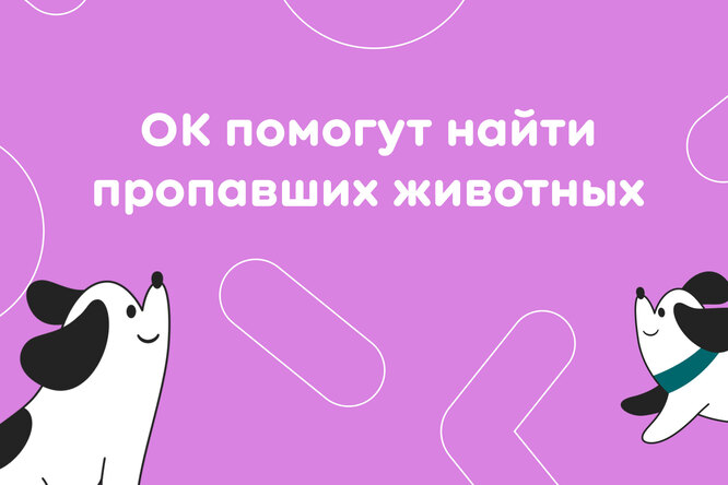 Одноклассники помогут пользователям в поиске потерянного питомца в новогодние праздники Одноклассники помогут пользователям в поиске потерянного питомца в новогодние праздники