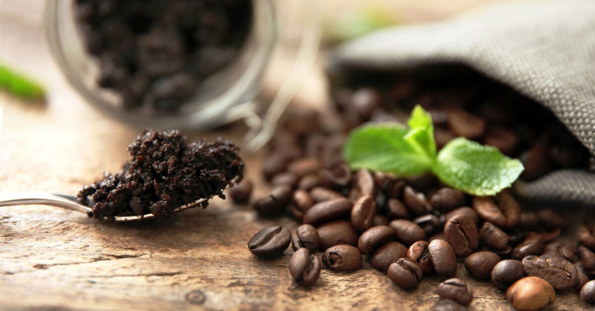 Кофе удобрение для растений. Кофейные зерна. Спитой кофе. Кофейный жмых. Удобрение из кофе.