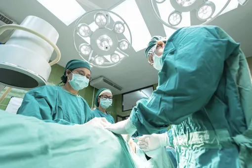 Трансплантация: почему нельзя украсть человека для пересадки и другие мифы – отвечает эксперт