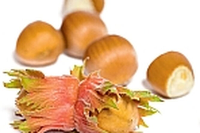 Сладкие рецепты с орехами Сладкие рецепты с орехами
