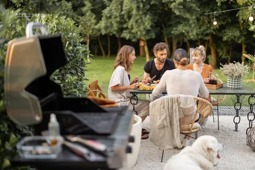 Пикник в парке, завтрак на балконе, вечеринка на даче: рецепты для солнечных дней от Самоката и «Нового очага»