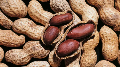 Необходимые климатические условия для выращивания арахиса