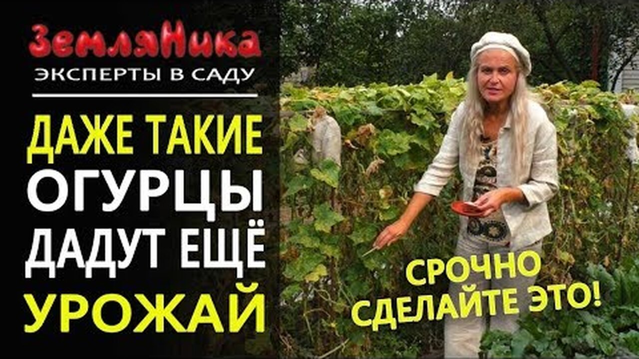 Klikněte a uvidíte
