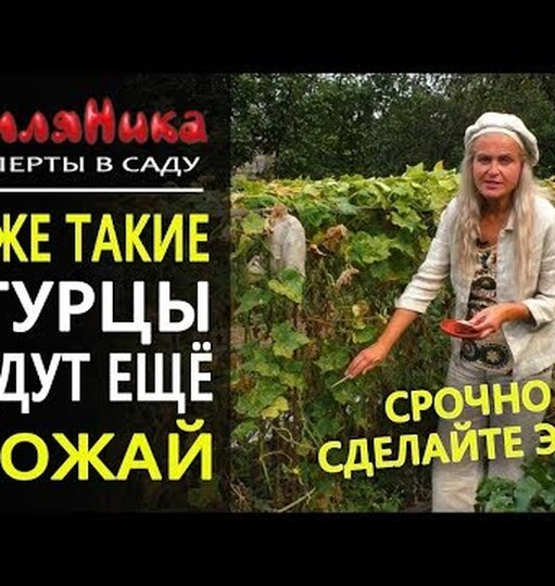 Klikněte a uvidíte