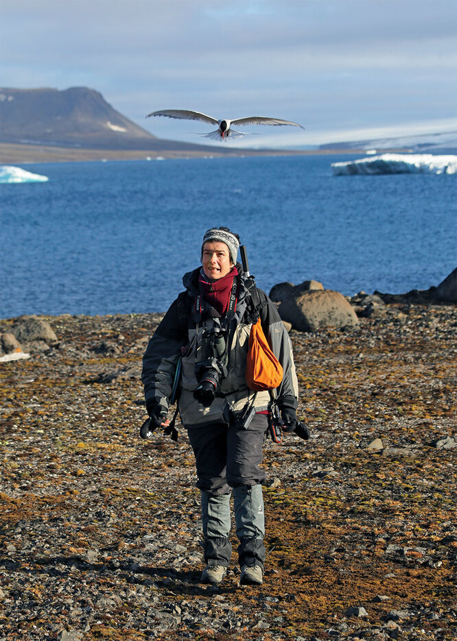 Мария Гаврило изучает популяции белой чайки на острове Визе на севере Карского моря.