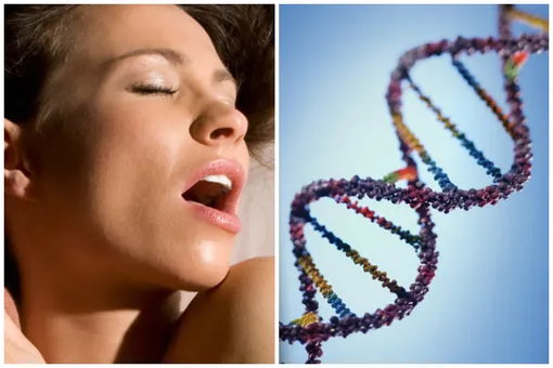 Как гены влияют на оргазм и еще 6 неожиданных фактов о генетике