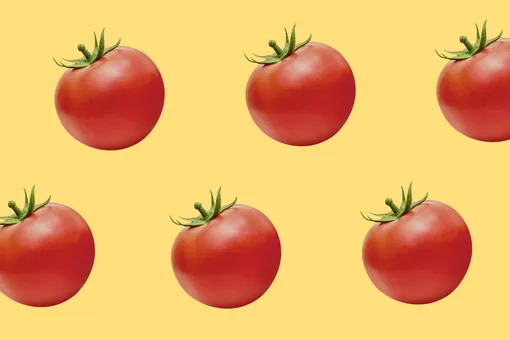 Секреты выращивания богатого урожая помидоров