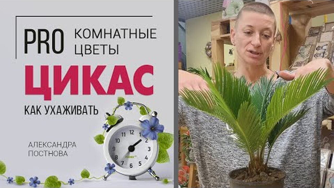 Klikněte a uvidíte