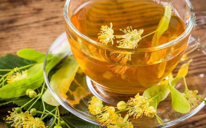 Полезные травяные чаи: разновидности, свойства и рецепты заваривания