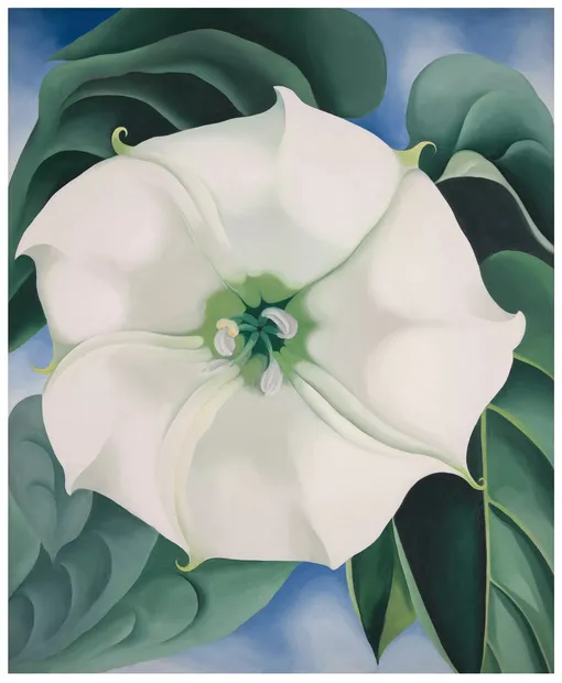 Джорджия О’Киф. Дурман (Белый цветок № 1). 1932