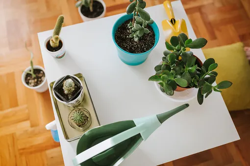 Ритуалы и обряды для привлечения материального достатка