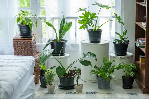 подставки для комнатных растений