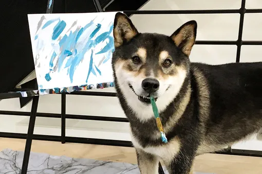 Нет, мы не завидуем: пёс заработал миллион своими рисунками