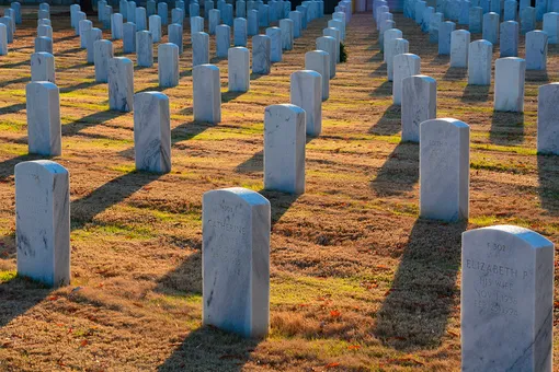 Чтобы помнили: бабушка привела в порядок 600 заброшенных солдатских могил