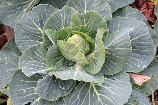 Санитарная обработка инструментов