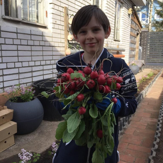 7-летний сын Елены Ваенги сам вырастил редис