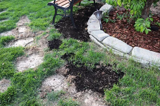 Вырастут ли семена травы, если просто разбросать их сверху в лысеющий ...