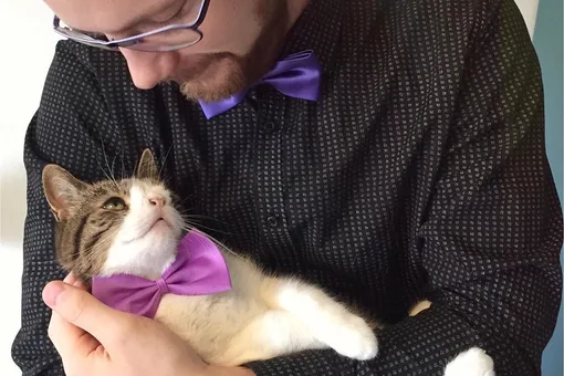 Монти: кот со смешной мордочкой стал любимцем интернета
