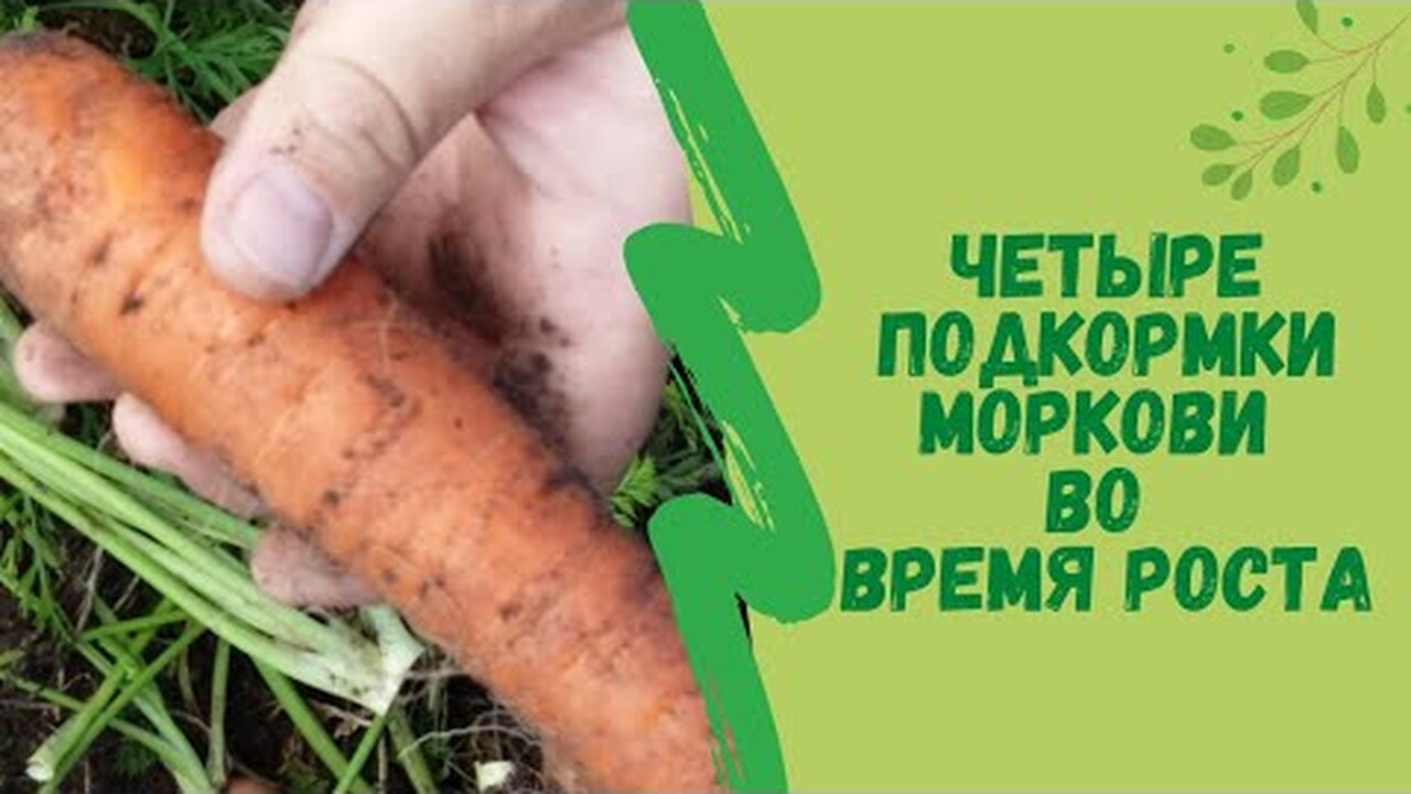 Klikněte a uvidíte