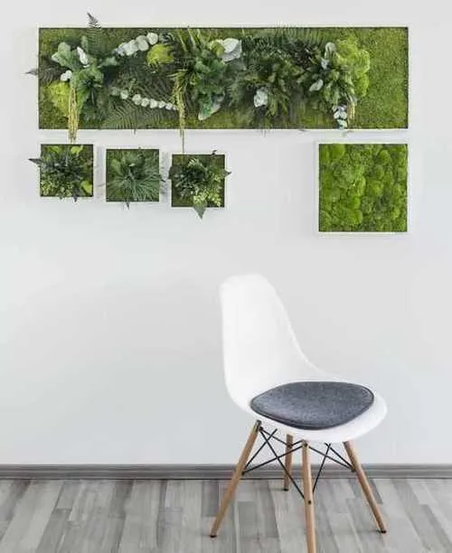 Картины из мха и растений