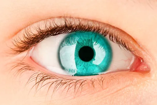 10 продуктов, способных изменить цвет ваших глаз