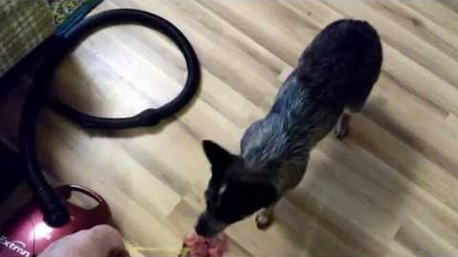 Травматический опыт