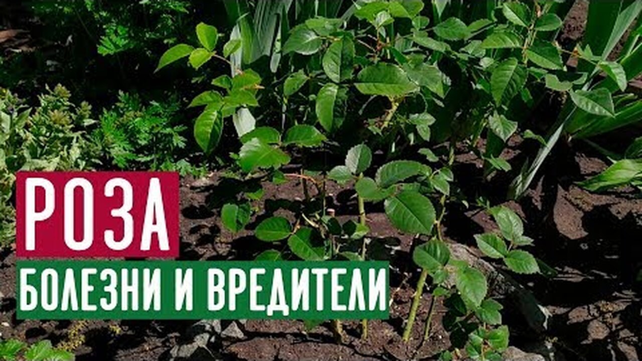 Klikněte a uvidíte