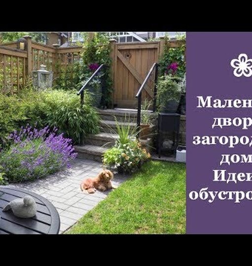Нажми и смотри