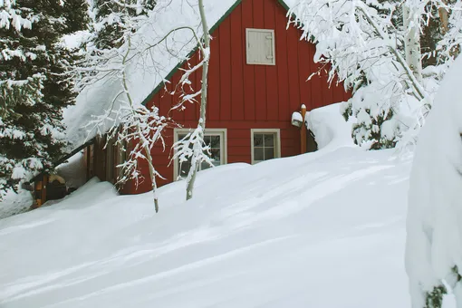 Естественная защита: пять простых способов задержать снег на участке