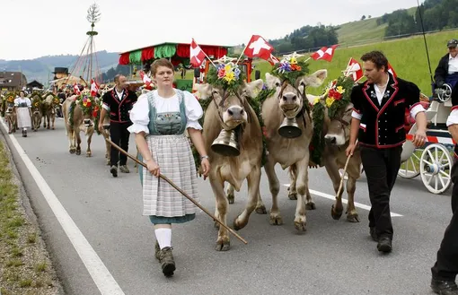 праздник скота в швейцарии