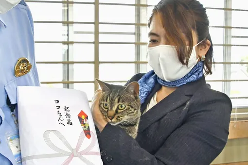 Кошка удостоена полицейских почестей за спасение человека