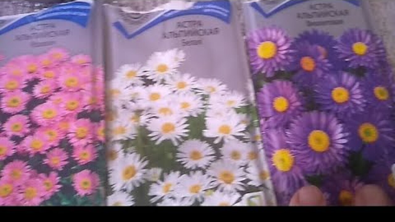 Klikněte a uvidíte