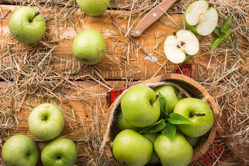 Собираем и храним урожай яблок правильно: дачникам на заметку