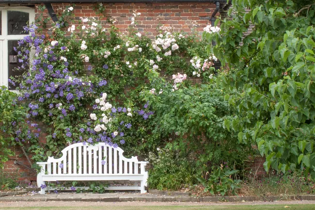 «Гордость и предубеждение»: реально ли создать пейзажный сад в английском стиле, как в романах Джейн Остин
