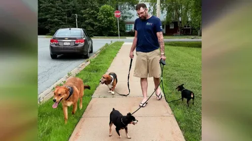 парень спас собак в аварии