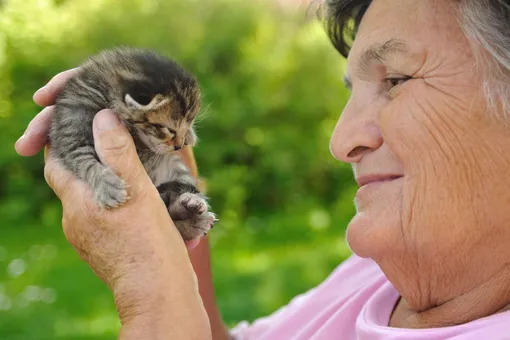 Как кошки и собаки помогают людям избежать провалов в памяти в пожилом возрасте